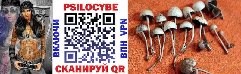 Галлюциногенные грибы Psilocybine cubensis  Купить  Инсар 