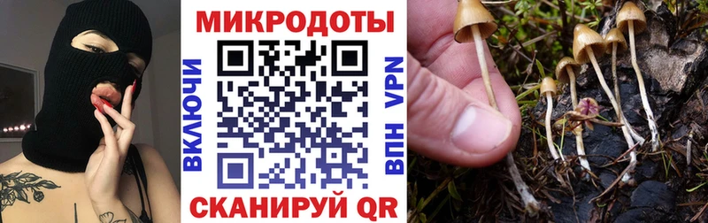 Псилоцибиновые грибы прущие грибы Инсар