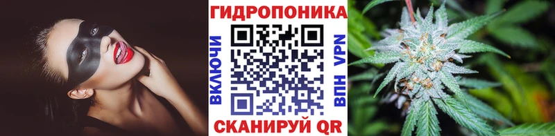 Конопля SATIVA & INDICA  Купить где  Инсар 